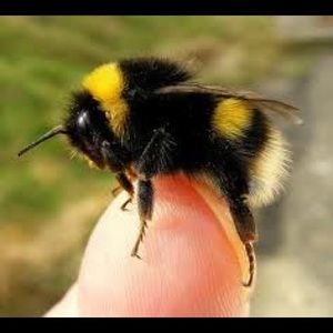 Meet your Posher, Michaela